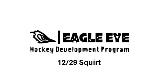 12/29 Eagle Eye HDP Holiday Advanced Skills Camp Squirt