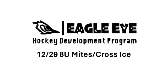 12/29 Eagle Eye HDP Holiday Advanced Skills Camp 8U