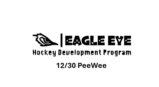 12/30 Eagle Eye HDP Holiday Advanced Skills Camp PeeWee